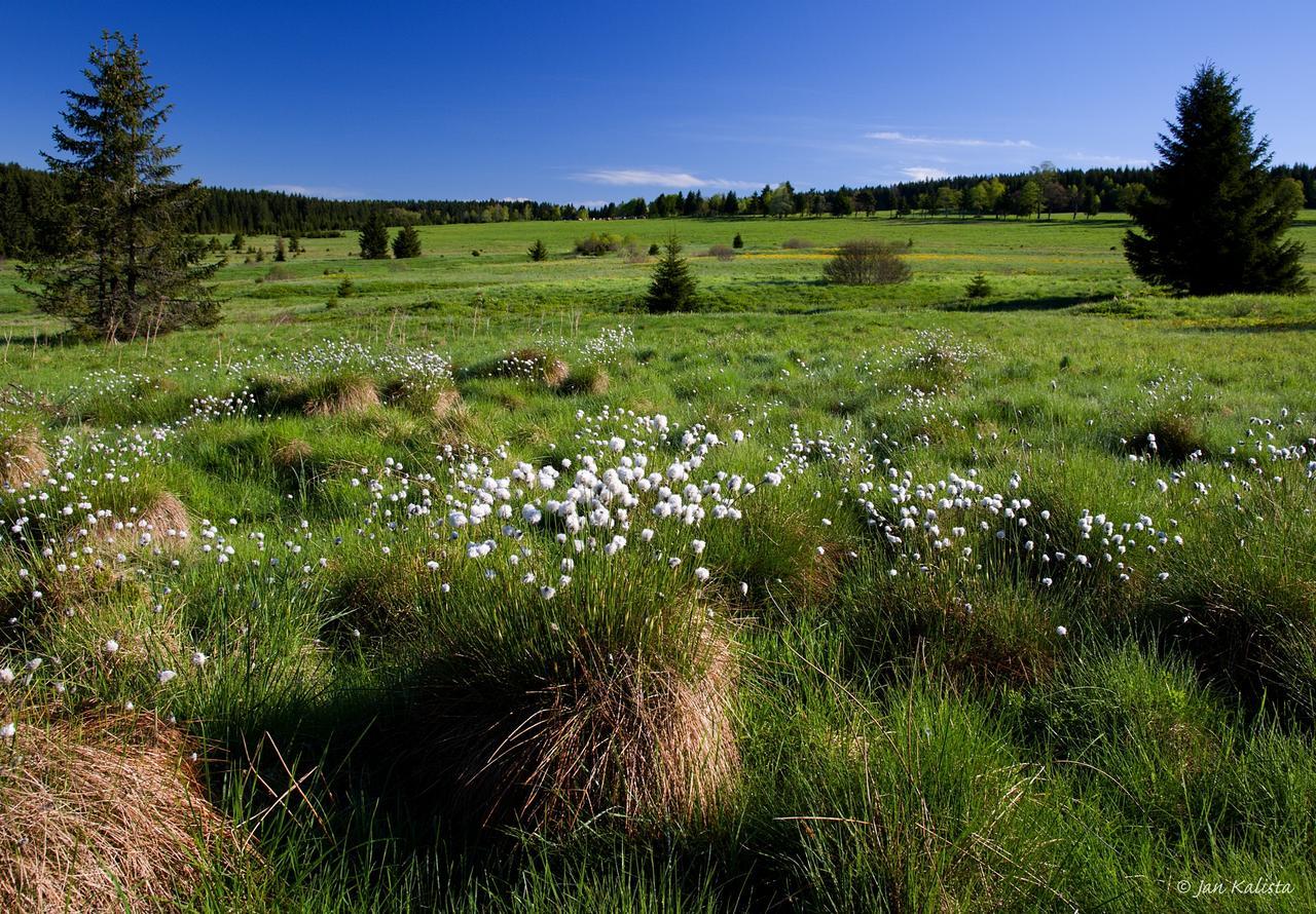 Nebespan Kasperske Hory Exteriör bild